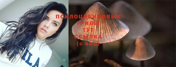 гашик Абдулино