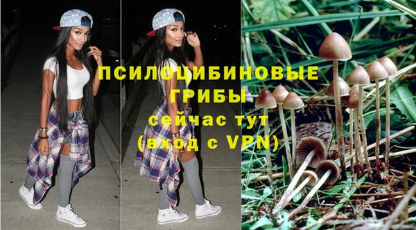 гашик Абдулино