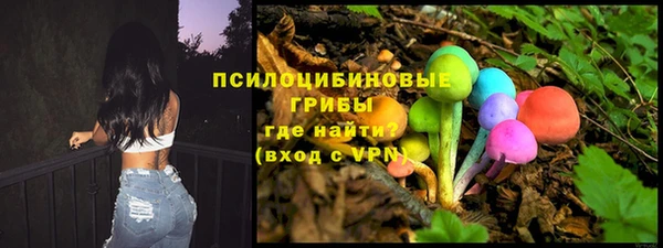 стафф Абинск