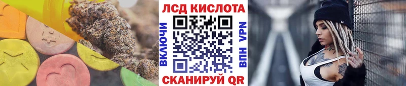где купить наркоту  Вологда  ЛСД экстази ecstasy 