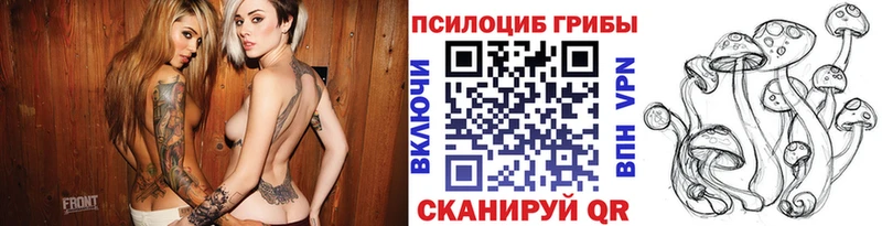 Галлюциногенные грибы Psilocybine cubensis  Вологда 
